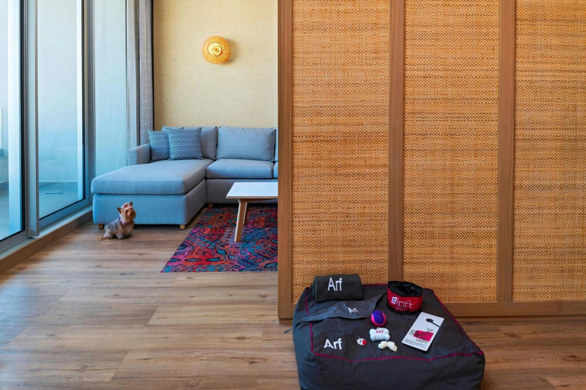 Готель Aloft Плайя-дель-Кармен Екстер'єр фото A room divider